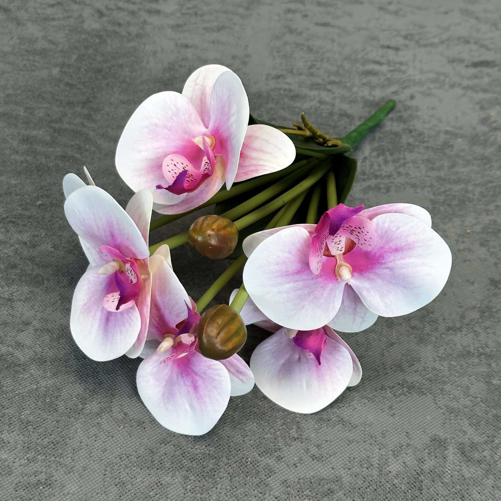 Simulación de impresión 3D orquídea mariposa en maceta decoración de la sala de estar accesorios adornos de flores falsas transfronterizas al por mayor