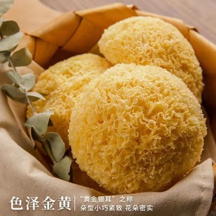 �����������y����؛ܛŴ�o��Ŵ�����r���z��ѩ��ʳ�þ��S�����l