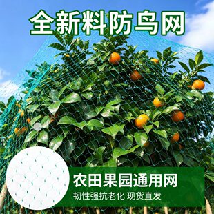 �Gɫ���ܶ����������B�W����Nֲ���o�W���@�Bֳ�������B�W��Ҏ��