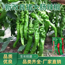 ļ¸icN̨҃ͥԺN˷NӴȫl