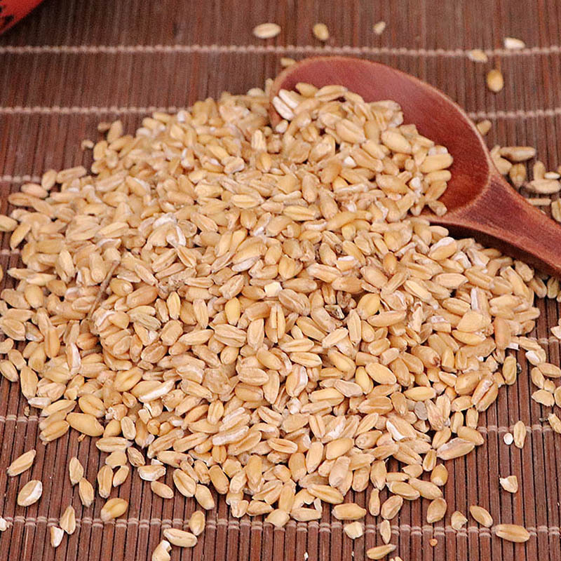 Fu Xiao Mai Dried Floating Wheat Triticum aestivum 500g Traditional Herbal Decoction Ingredient key features