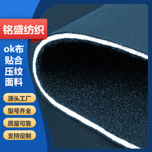 �S��ֱ�NOK��SBR��ˮ�Ϸ�N�A�����z���\���������o�ߏͺ�����