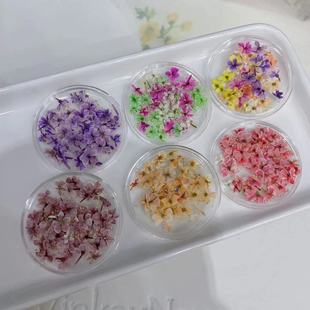 ��Ʒ�W�t��ɫ�ɻ��Ʒ DIY���w�����b� 50Ƭ���b��������l