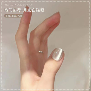 �ɰ��¹��؈��ָ�����z2026���¿��ﶬ���б��W�z���׵ꌣ���@��