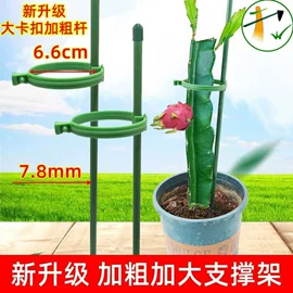 其他园林资材;园艺工具;园艺灌溉工具