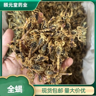 ��ș��ȫϐ ��ˮϐ��ȫϐ��؛ȫ�xϐ�Ӽ��ɟo�}ϐ�� Ҏ���Rȫ