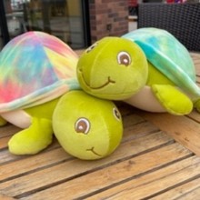 ץ�Cë�q����}�Q�ͻС����ë�q��߹�����ż���Ӕ[�����չ���