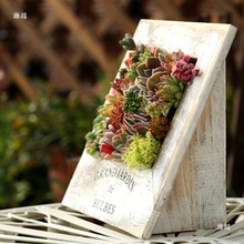 美式多肉植物相框桌面多肉花盆创意肉植物组合盆栽做旧创多花器