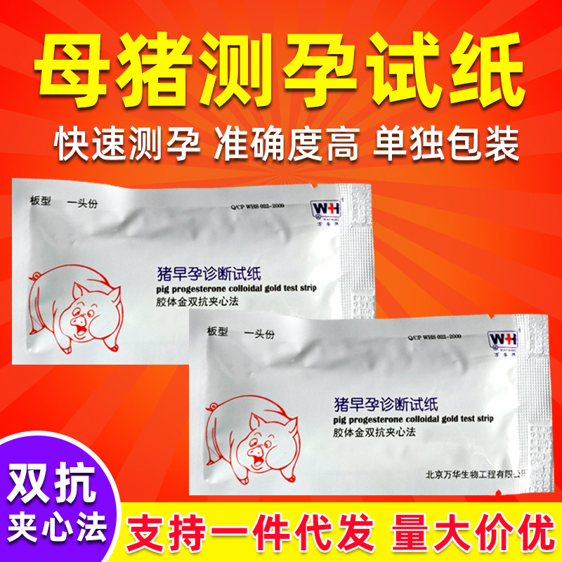 母猪测试纸测孕试盒 猪用怀孕测试剂猪场养殖设备 母猪用测试纸盒