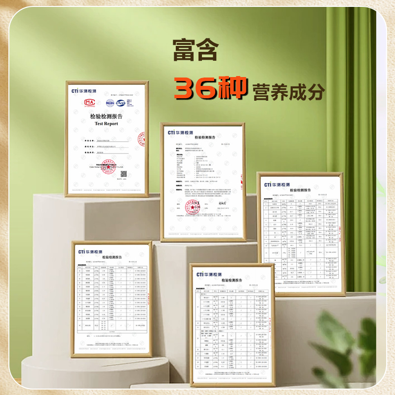 Xinjiang Full-Fat Camel Milk Powder with Probiotics 300g 2