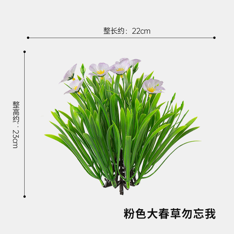 핑크 봄 잔디
