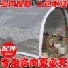 ageing Shade net Sun Network Roof Rain tarpaulin Sunshade Vegetables Attic Shade cloth summer Garden Botany