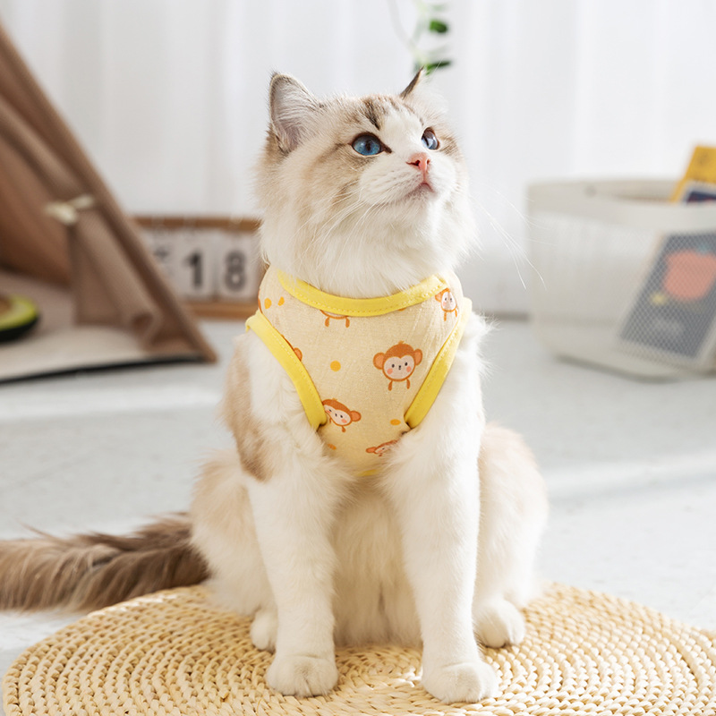Nuevo Gato Delgado transpirable verano completo impreso fruta fresca tracción chaleco perro dos pies ropa para mascotas gato