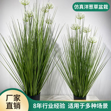 羳WGֲ[ԼҾb[kҷGֲ쾰辰