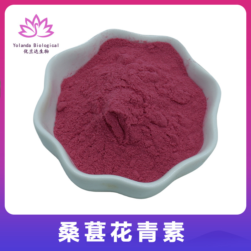 桑葚花青素25%  食品级原料 黑桑葚提取物 花青素粉 桑葚粉 现货