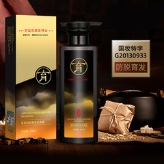 Hong Kong Leon Lai anti-hair loss shampoo ginger anti-dandruff oil control shampoo conditioner 500ml