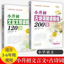 小升初文言文精读精练120篇古诗词精读精练200篇语文阅读与练习题