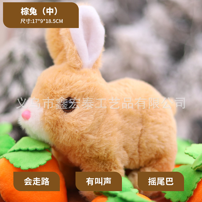 El conejo marrón (centro)