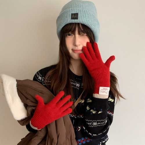 Touchscreen Color-blocked Knitted Gloves for Women - New Fall/Winter Style, Warm and Windproof, Riding and Outdoor Split-Finger Gloves - Trendy