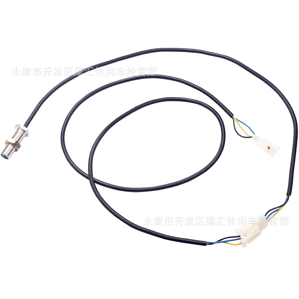 IMG_4101.jpg
