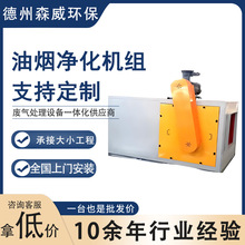 厂家定制油烟净化器工业低空静电式厨房油烟分离器油雾净化器