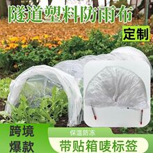 ���ƿ羳�rĤֲ���߲�����ů���@ֲ�@ֲ���߲�ͨ��ֲ�����������