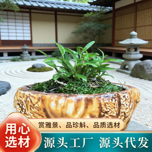 �FƤ�����Nֲ�����Կ�ʳ�ÿ��_���FƤʯ�������������^��߅�N߅��