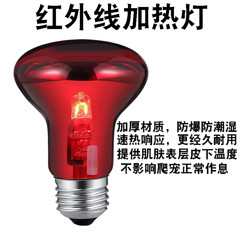 红1.jpg