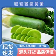 山东潍坊水果萝卜新鲜萝卜包邮应当季青萝卜一件代发食用农产品