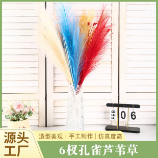 ���Ʒ���6辿�ȸ�JȔ�ݲ�֦�Ҿ��b¾Gֲ���������n�ݻ�Y����