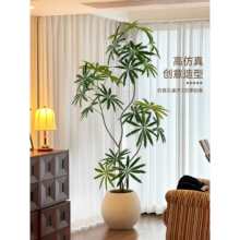 �پGֲ��ȸľ�߶��p���҃ȿ͏d������ؔ[���b��Ʒ�|����ֲ��
