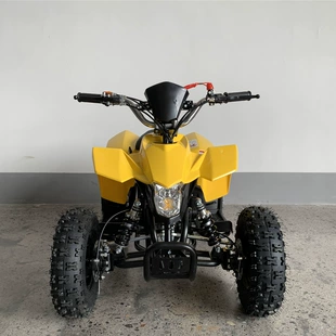 Глобальная экспортная экспорт 49cc ручной пуск детский автомобиль ATV внедорожник на четырех колесах бензиновый мотоцикл