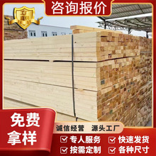 ���Bľ���S�Ҙ�����ľ�|ľ���bľ���бP��ľ���Ǘl�����ͽ�����ľ