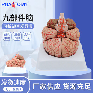 �Ų����X���X�Y���񽛿ƴ��X�օ^�M�bģ��С�X�ɲ�̌Wչʾ�þ�