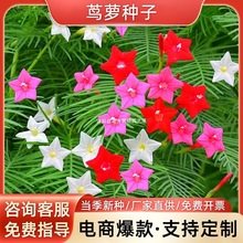 �\�}�N�����~�\�}�N���ļ��N����ֲ���̨ͥԺ�׻���Ԯ�������N