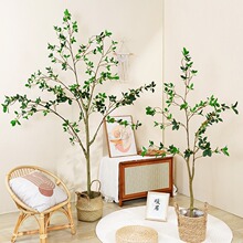 ��������ɽ���Gֲ�ﴻ����ؔ[���٘仨�����辰�Gֲ�Ҿ��b��