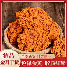 金耳菌干货黄耳干农家新货250g大朵黄木耳煲汤火锅食材商用批发代