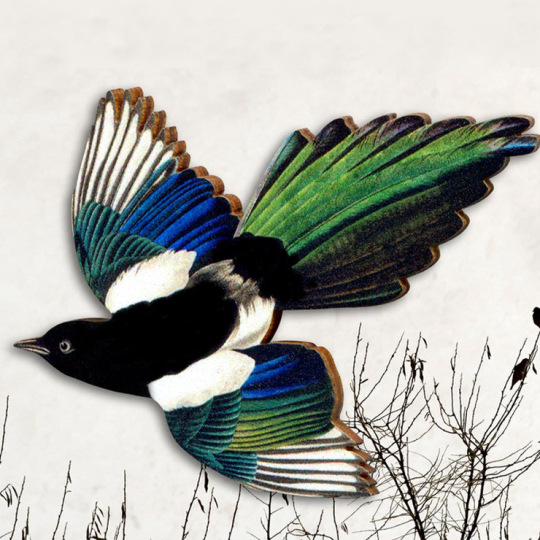 Pastoral Bird Wood Unisex Brooches display picture 3