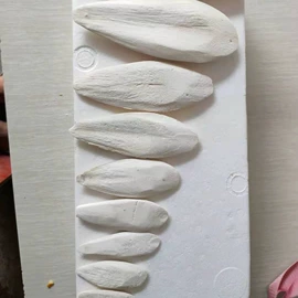 其他药食同源;鸟食