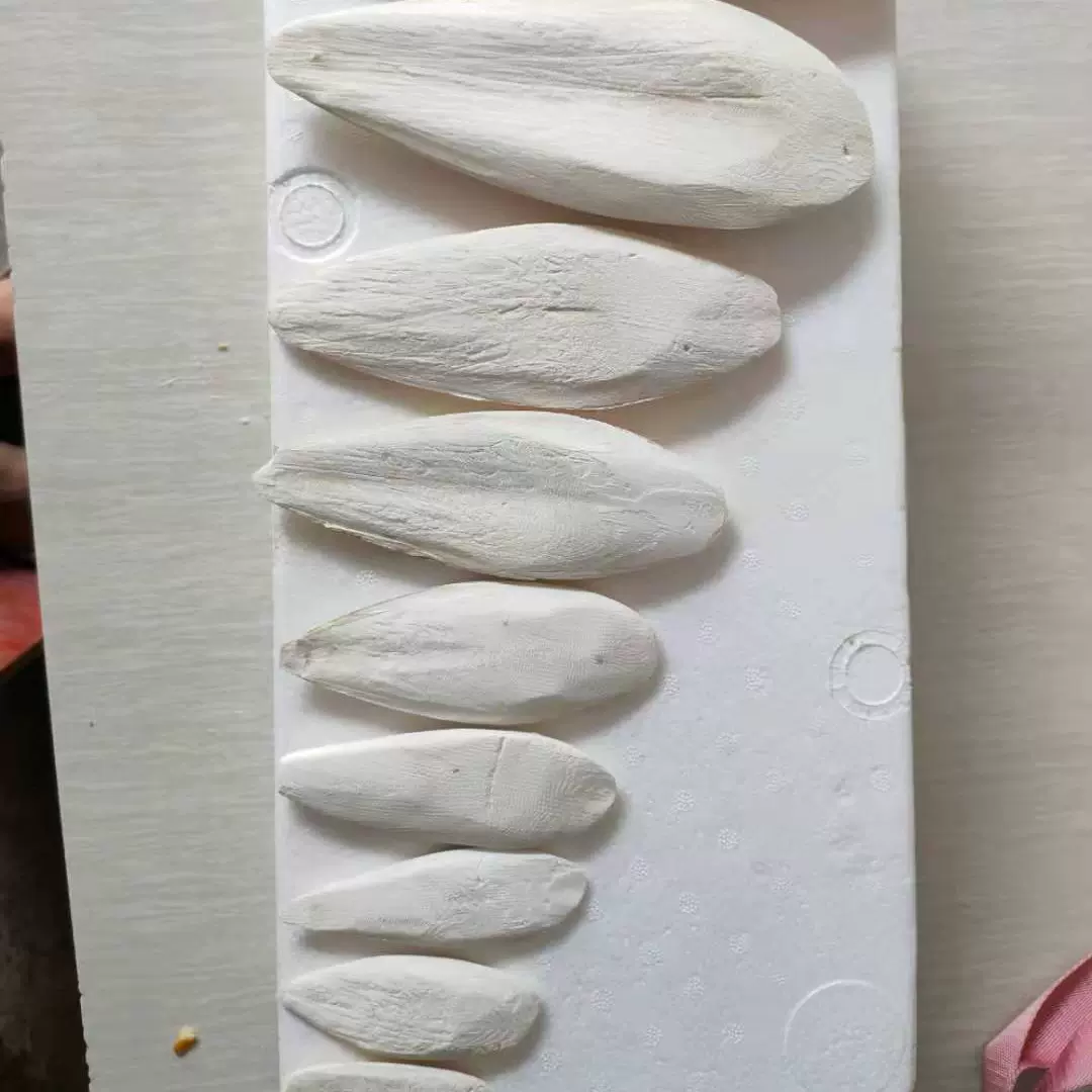 厂家直发墨鱼骨海螵蛸出口修边原料宠物玩具磨牙碎块打粉各种规格