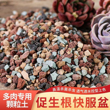 多肉颗粒专用土园艺种植多肉土垫底铺面火山石黄金麦饭石颗粒土