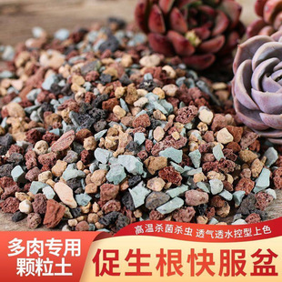 �����w���������@ˇ�Nֲ�������|������ɽʯ�S�����ʯ�w����