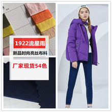 金银丝混纺 秋冬新款【新流星雨】羽绒服棉服面料 微亮交织布料