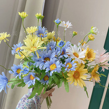 春菊 春菊品牌 图片 价格 春菊批发 阿里巴巴