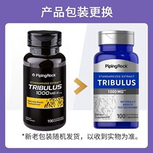 ���������ɠ������Լ��س����a���س־ô���޼غ��ͪغ��������