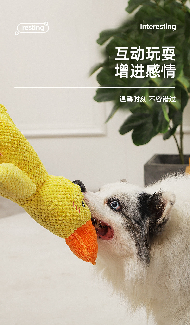 O1CN01a8oaeh1av7n5OC0Pz_!!3716