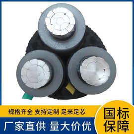 ZCYJLV2212/20KV铝芯阻燃中压电力电缆型号全规格多电线钢带铠装