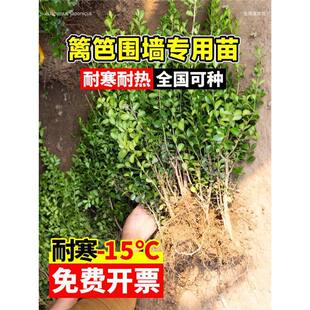�������S����綬��������G�h�ʺ��B��ͥԺ�������~�S����ľ�ͺ�
