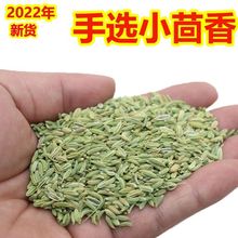 今年新货手选小茴香粒子籽包邮粉面调味香辛卤火锅底料家用厨房