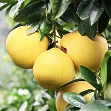 �a�ع���9���b�����t�����֮a��ֱ�l�����������rˮ���t������